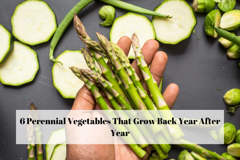 6 Perennial Vegetables That Grow Back Year After Year