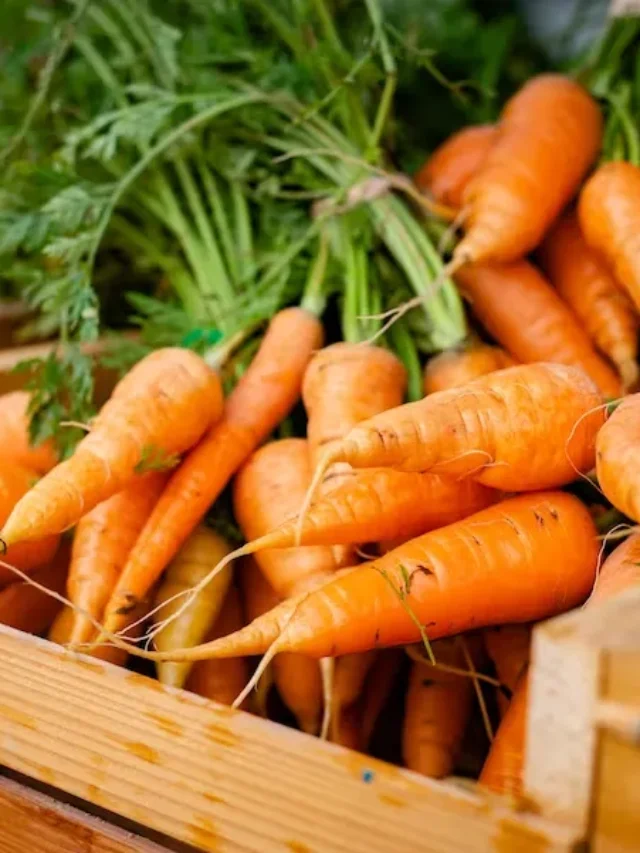 The Best Vegetables For Healthy Weight Loss